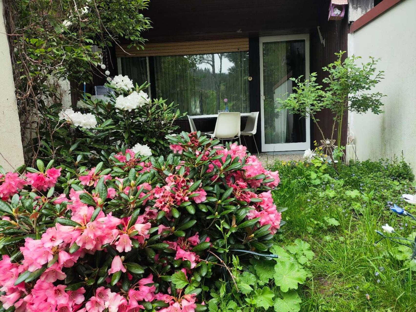 Ferienwohnung Schoene Wohnung 2D-Gebaeude Mit Mini-Garten Schönwalde Eksteriør billede